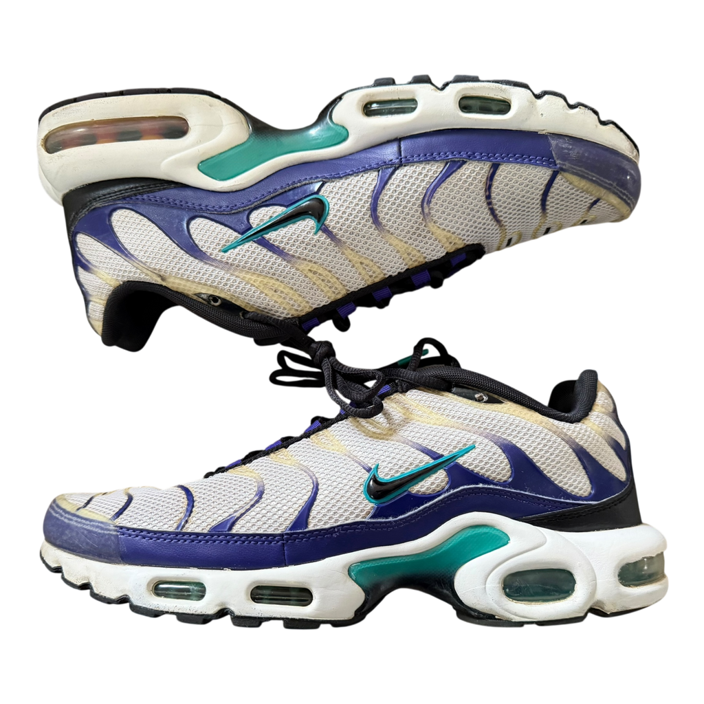 Air Max Plus TN Grape (43)