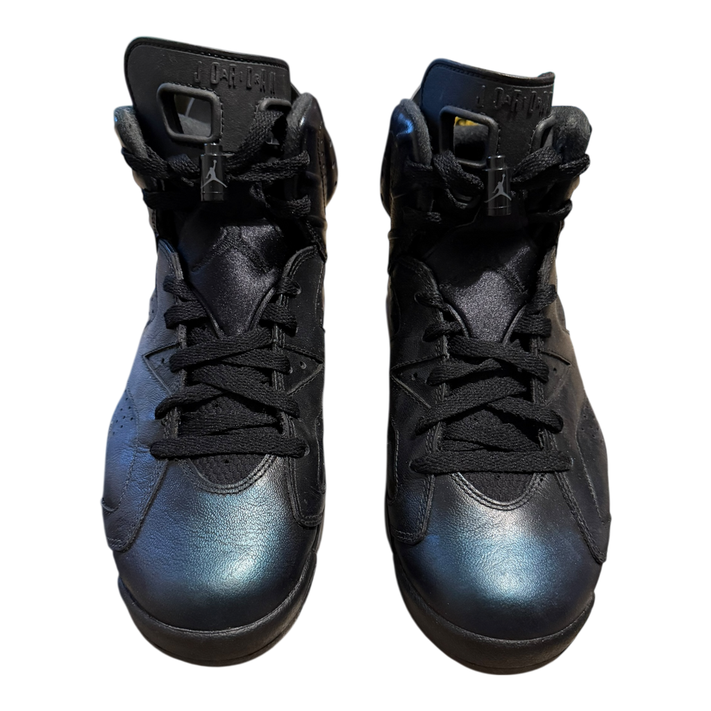 Jordan 6 All Star (43)