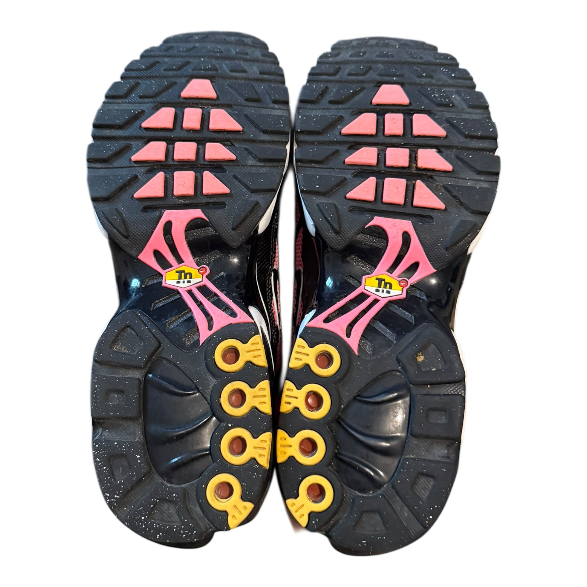 Air Max Plus TN All Day (43)