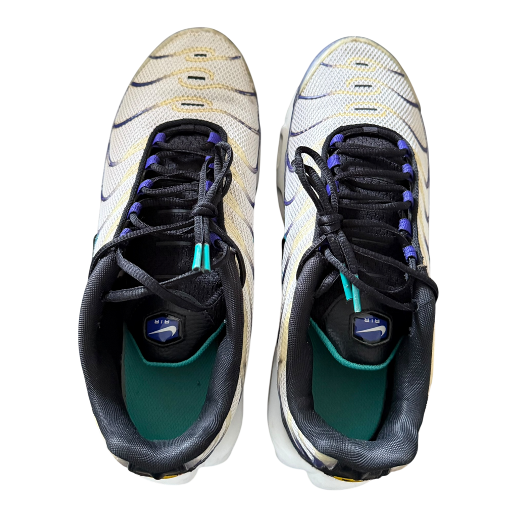 Air Max Plus TN Grape (43)