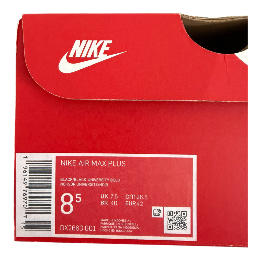 Air Max Plus TN Viotech (42)