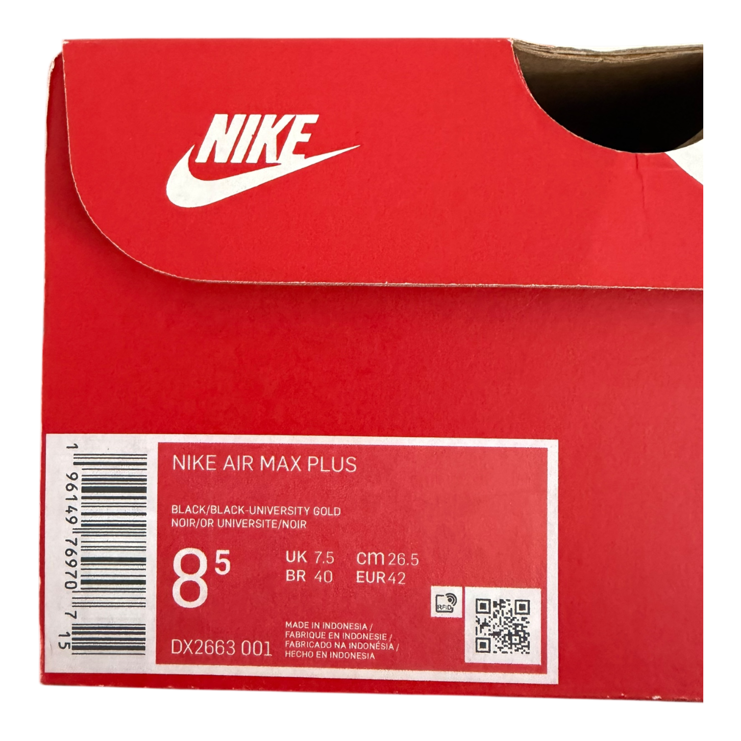 Air Max Plus TN Viotech (42)