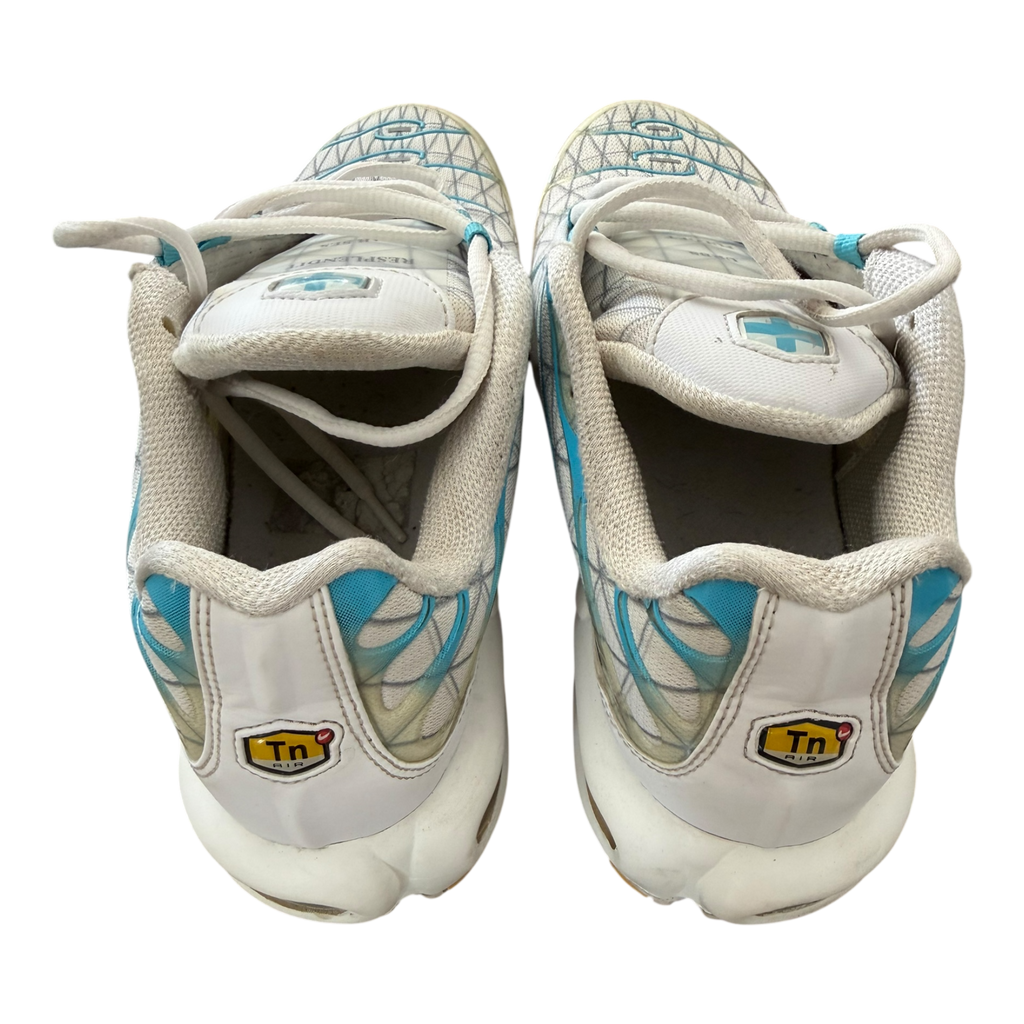 Air Max Plus TN Marseille (41)