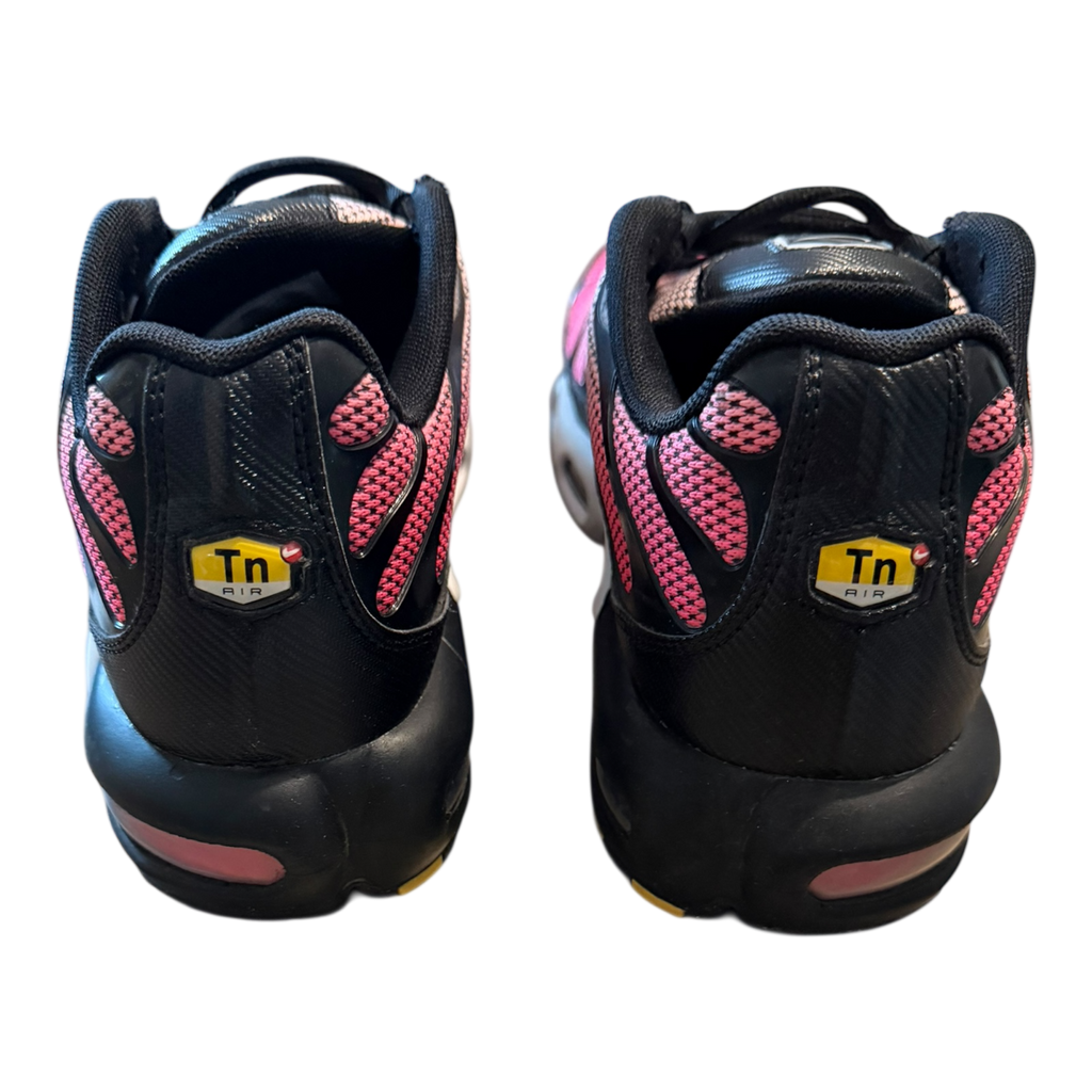 Air Max Plus TN All Day (43)