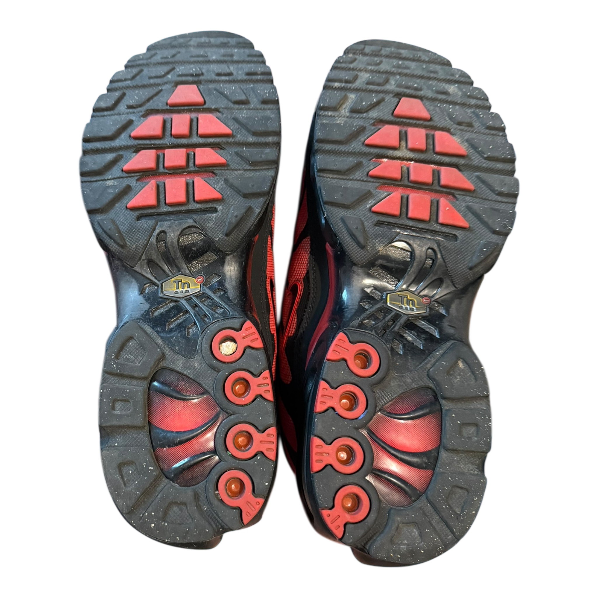 Air Max Plus TN Bred Reflective (41)