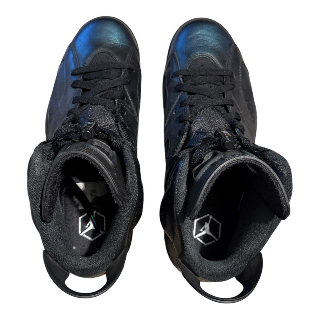 Jordan 6 All Star (43)