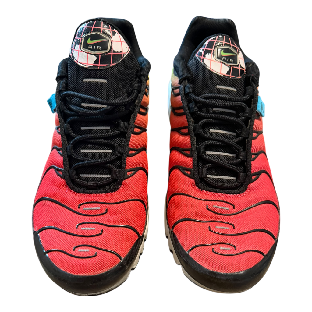 Air Max Plus TN Worldwide (42.5)