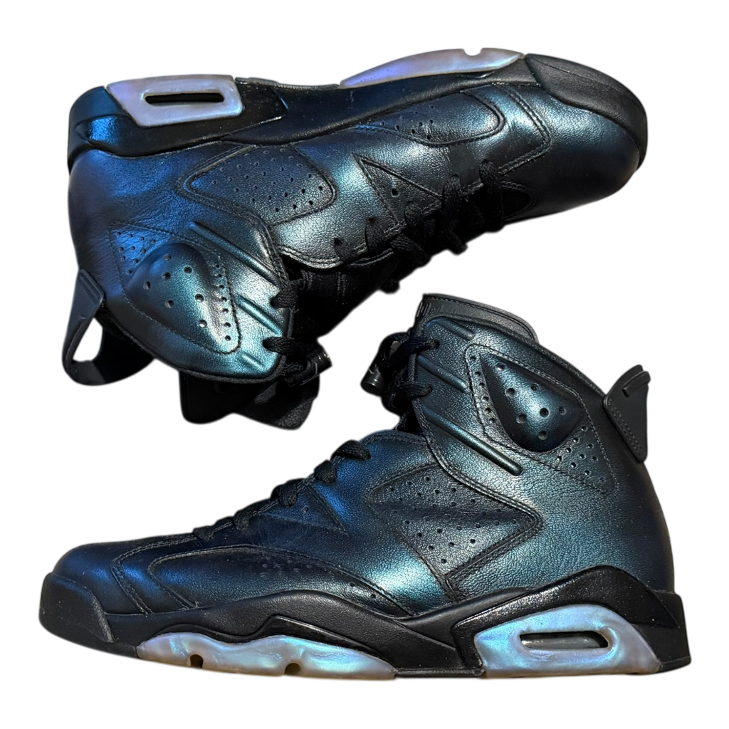 Jordan 6 All Star (43)