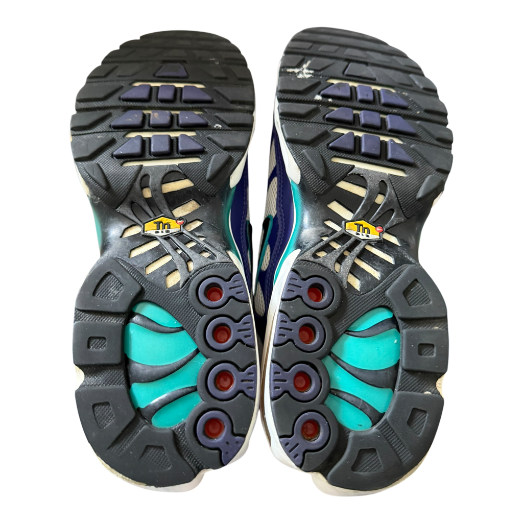 Air Max Plus TN Grape (43)