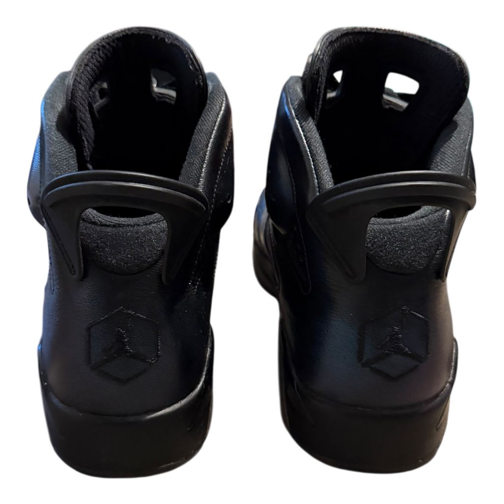 Jordan 6 All Star (43)