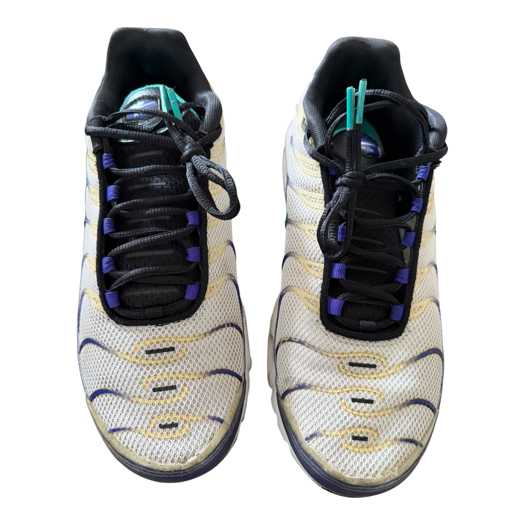Air Max Plus TN Grape (43)