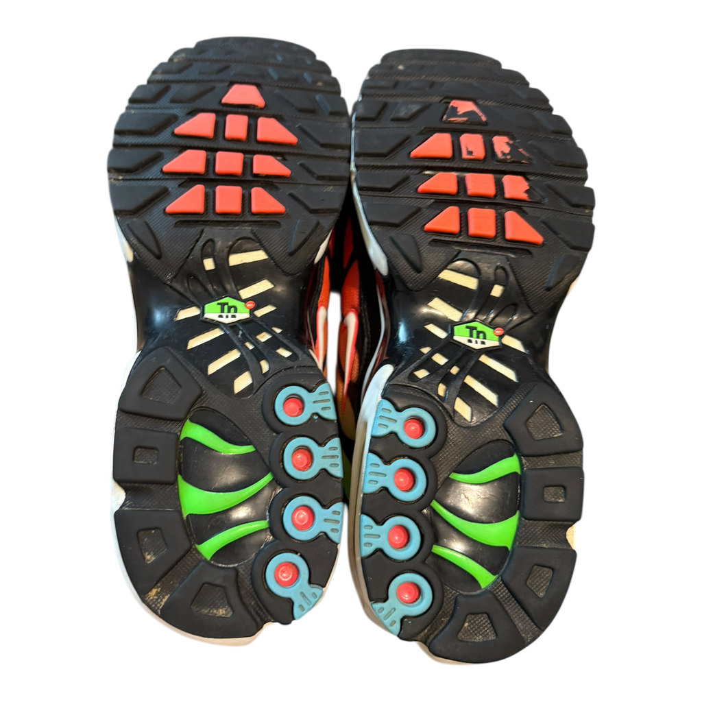 Air Max Plus TN Worldwide (42.5)
