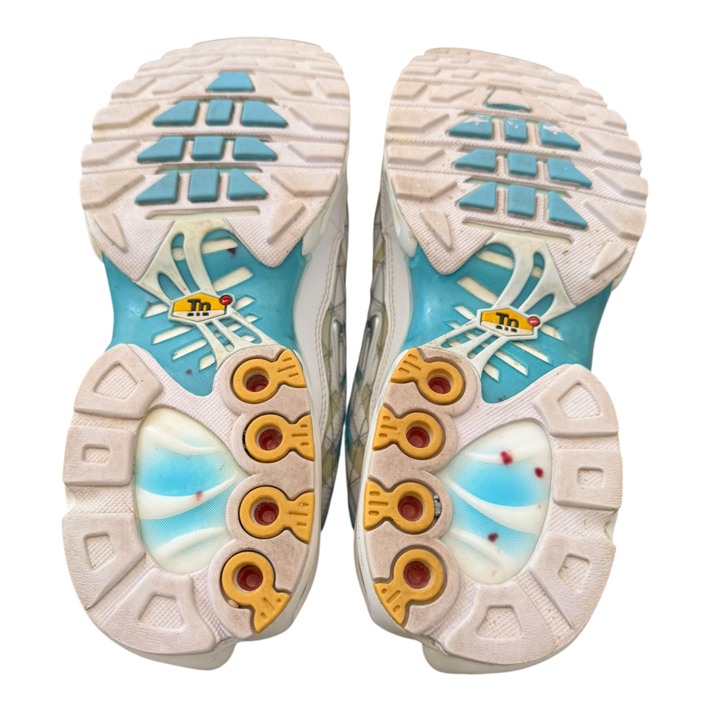 Air Max Plus TN Marseille (41)