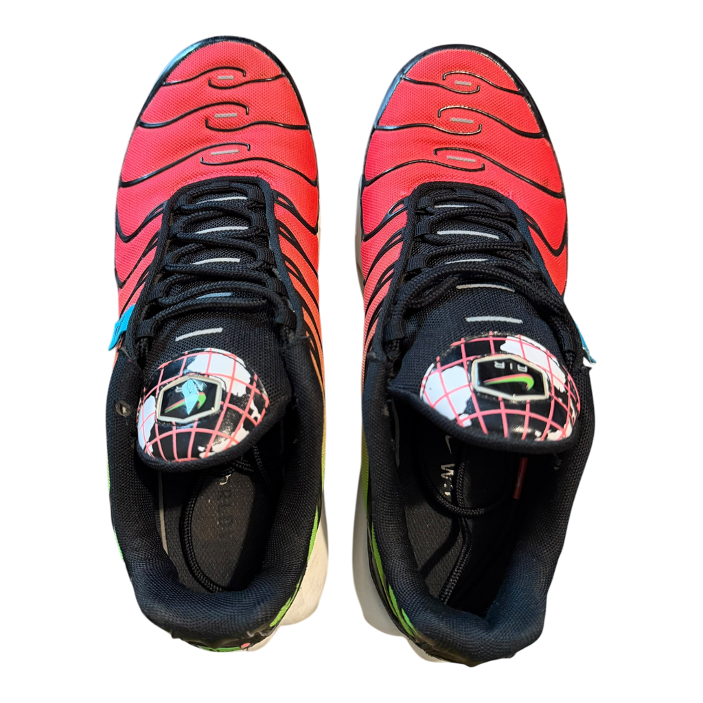 Air Max Plus TN Worldwide (42.5)