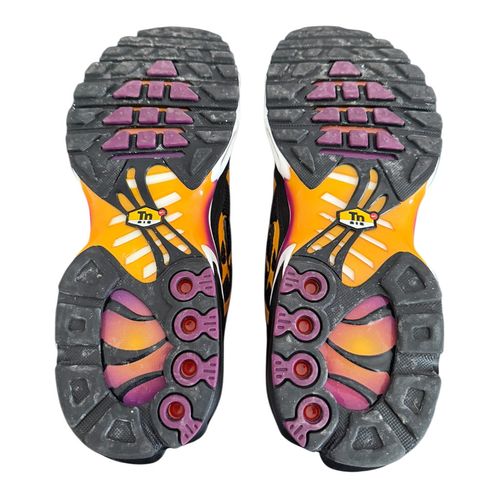 Air Max Plus TN Viotech (42)