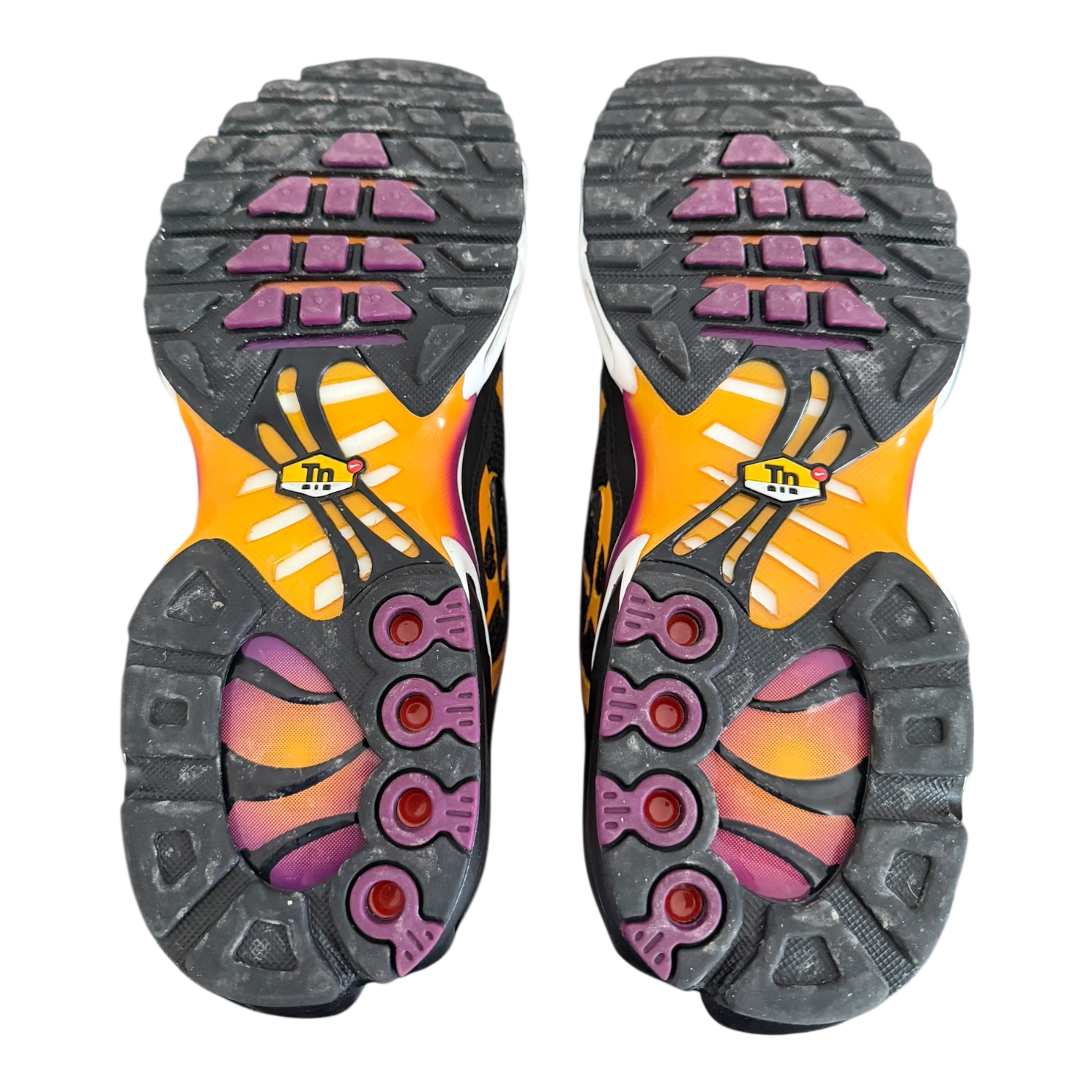 Air Max Plus TN Viotech (42)