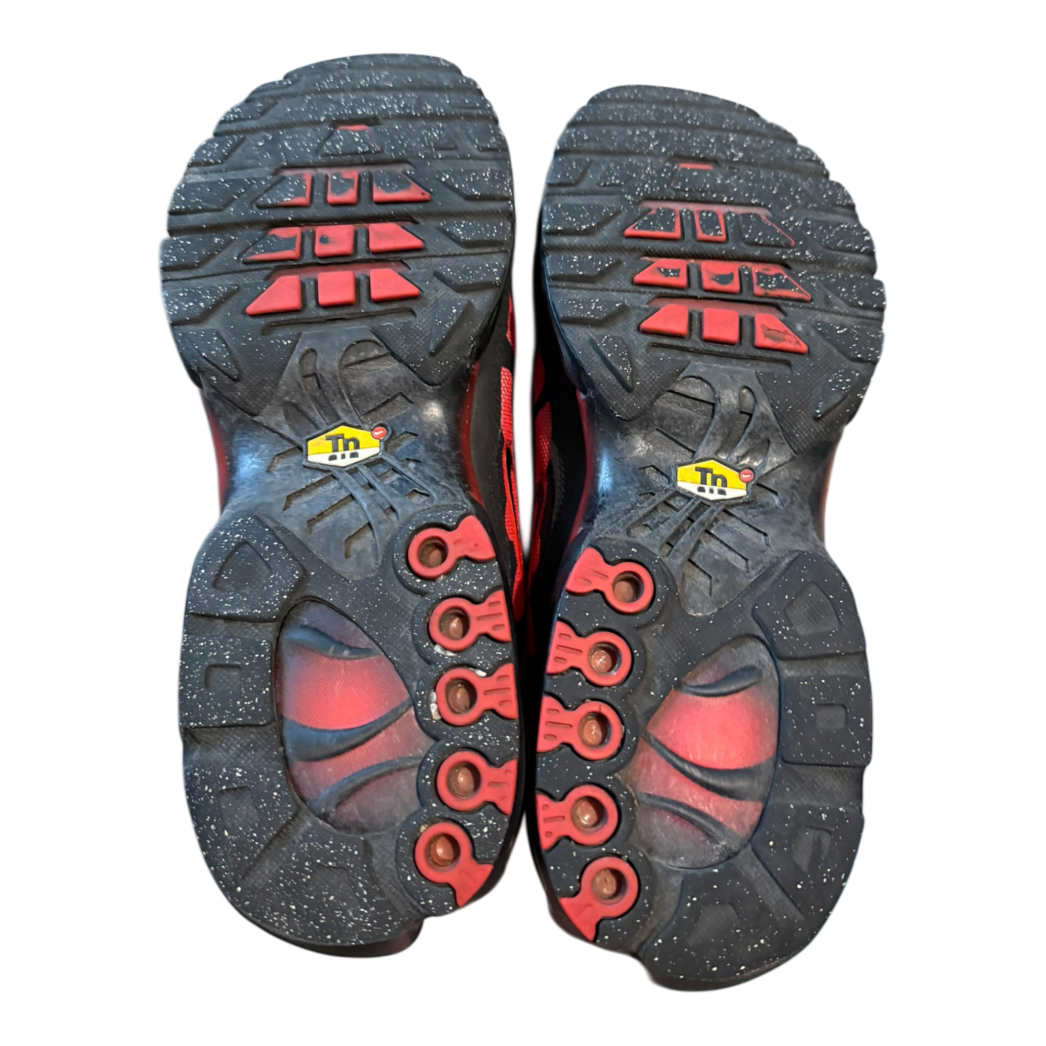 Air Max Plus TN Bred Reflective (44)