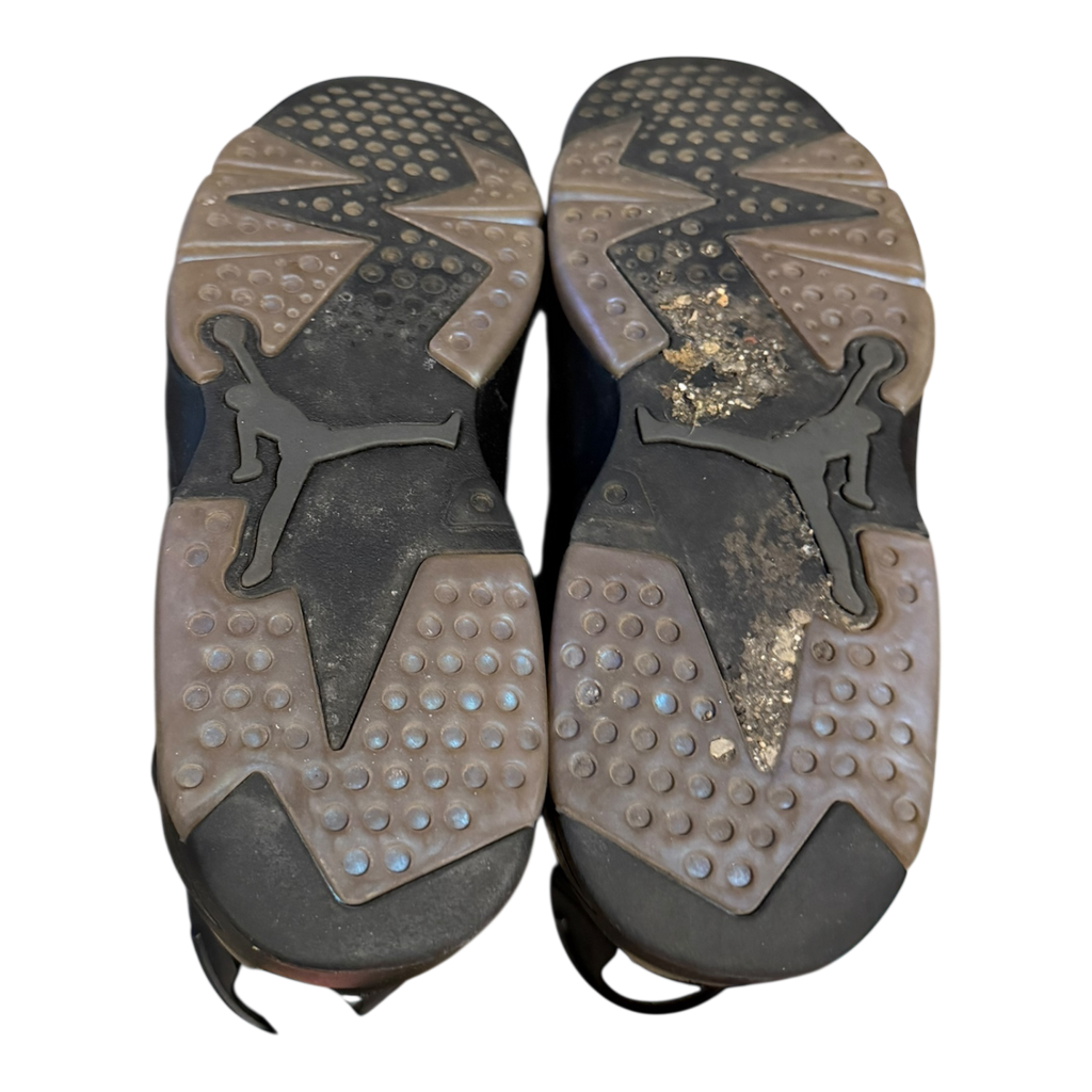 Jordan 6 All Star (43)