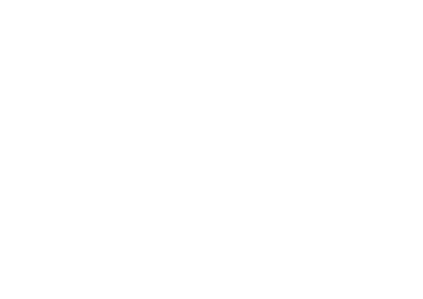 LAYN SNKRS